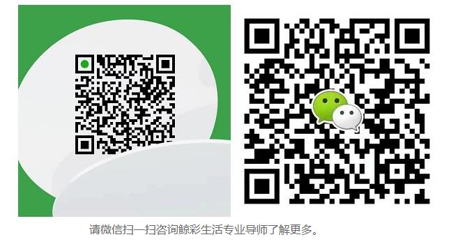 鲸彩生活怎么样？鲸彩生活PPT详细介绍